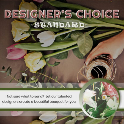 Designer’s Choice – Standard