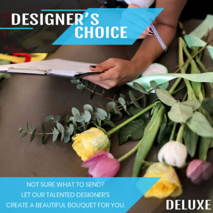 Designer’s Choice – Deluxe