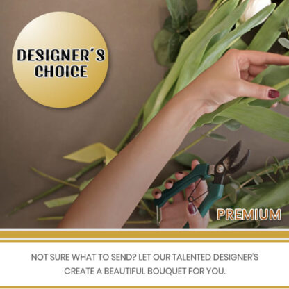 Designer’s Choice – Premium