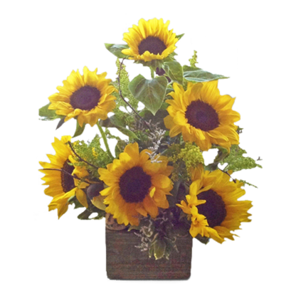 Sunny Sunflowers