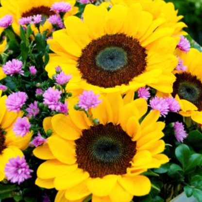 Farm To Table Bouquets