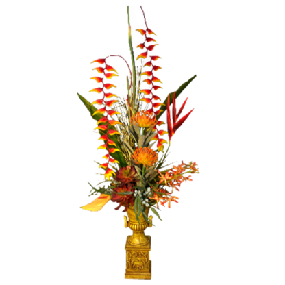 Heliconia & More