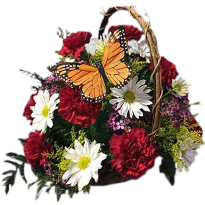 Butterfly Basket