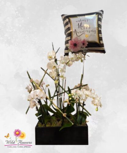 Orchids Galore