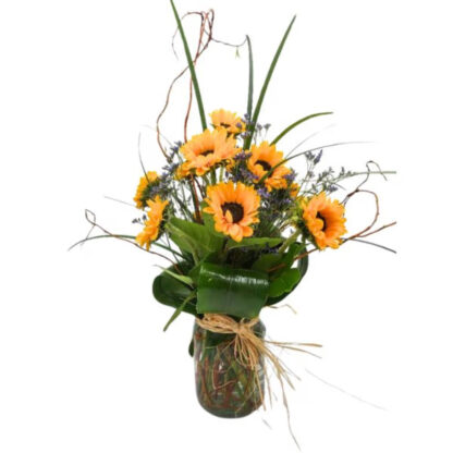Sunflower Jubilee