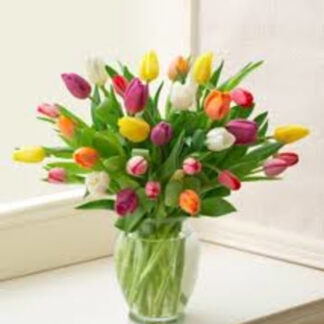 Totally Tulips